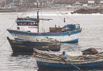 pesca comercio electrónico Perú