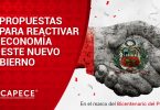 Capece Propuesta Gobierno