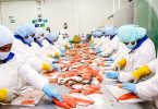 Exportaciones peruanas Otorgan empleo a más de 375 mil peruanos a enero de 2022