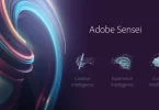 Adobe