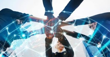 ¿Cuál es el perfil de los directorios a nivel de transformación digital
