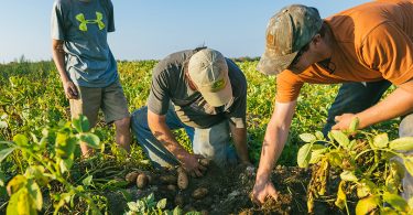 empresas agrícolas en perú