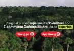 Wong ecommerce sustentable