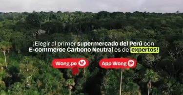 Wong ecommerce sustentable